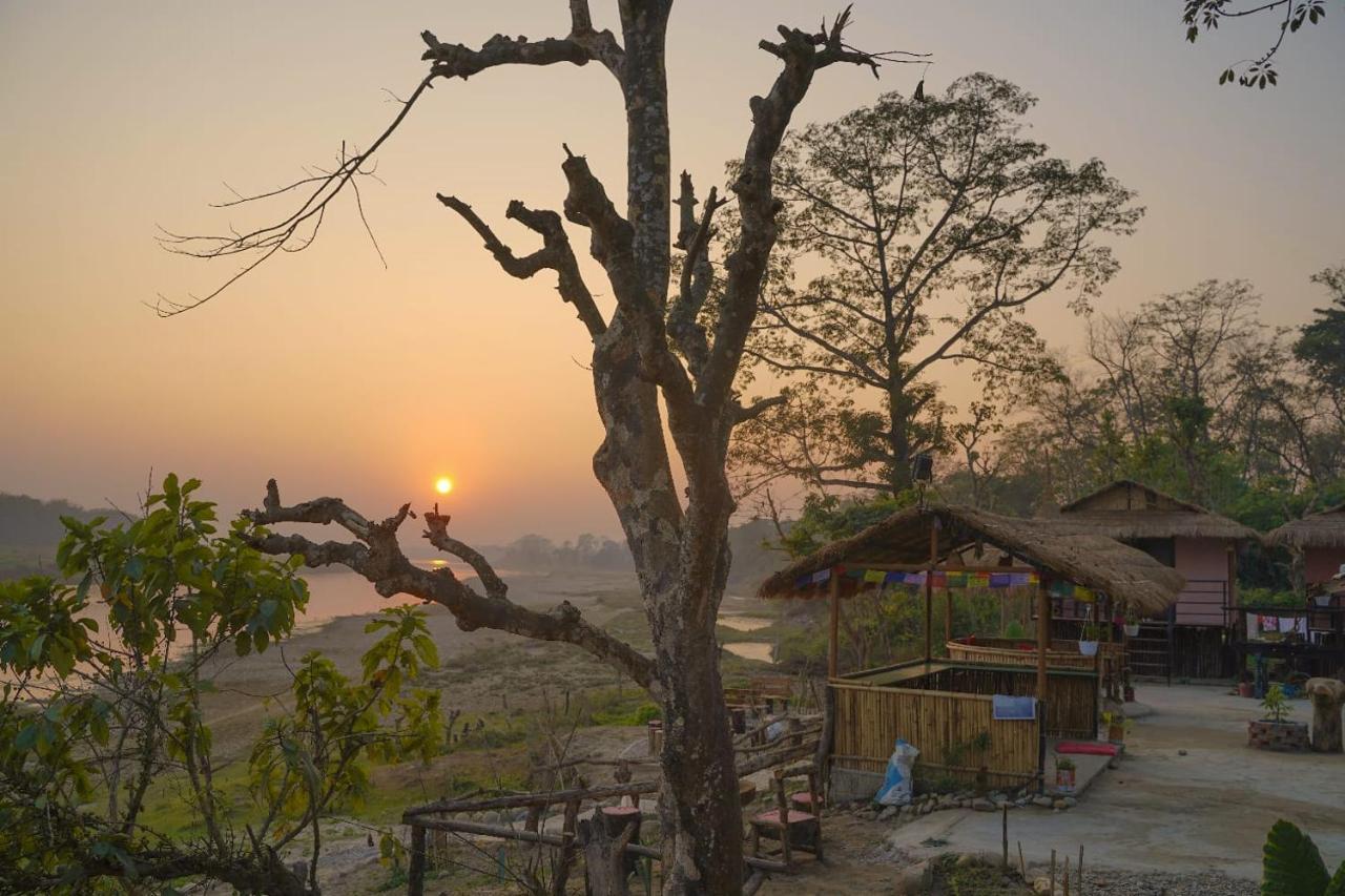 Bamby Chilling House - Feel The Nature Sauraha Ngoại thất bức ảnh