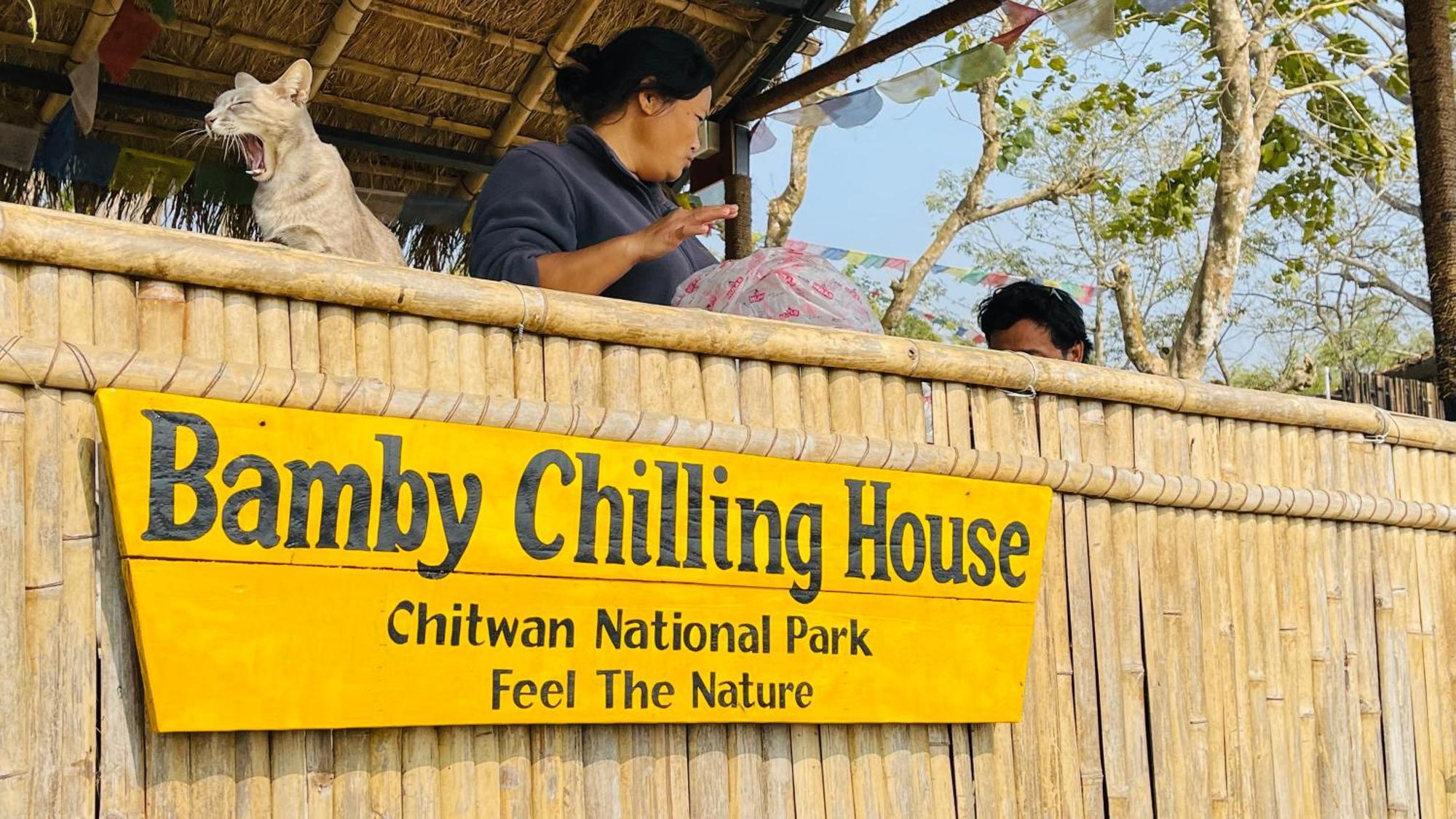 Bamby Chilling House - Feel The Nature Sauraha Ngoại thất bức ảnh
