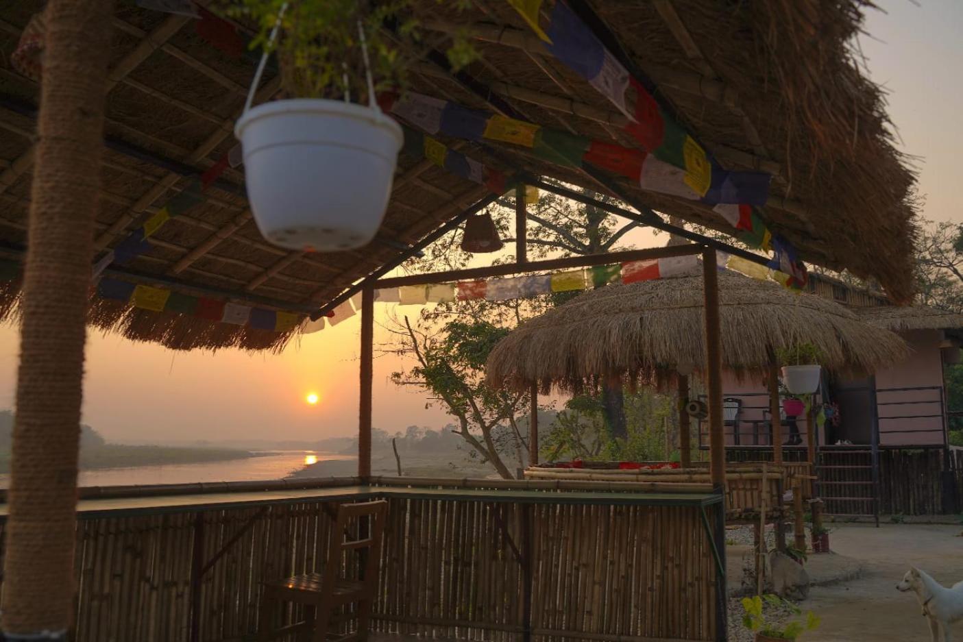 Bamby Chilling House - Feel The Nature Sauraha Ngoại thất bức ảnh