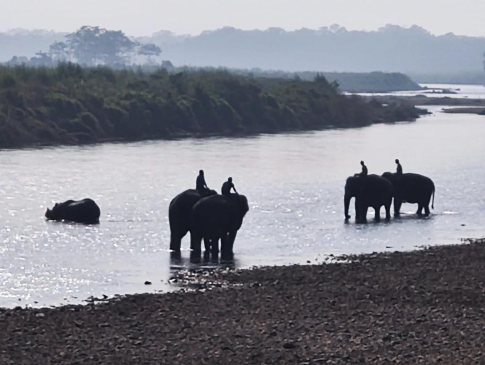 Bamby Chilling House - Feel The Nature Sauraha Ngoại thất bức ảnh