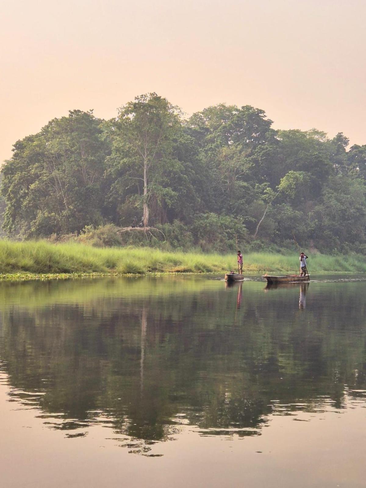 Bamby Chilling House - Feel The Nature Sauraha Ngoại thất bức ảnh