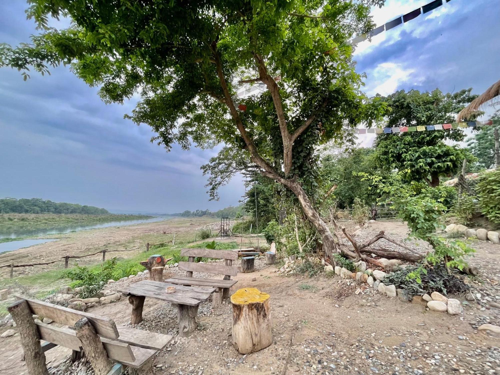 Bamby Chilling House - Feel The Nature Sauraha Ngoại thất bức ảnh