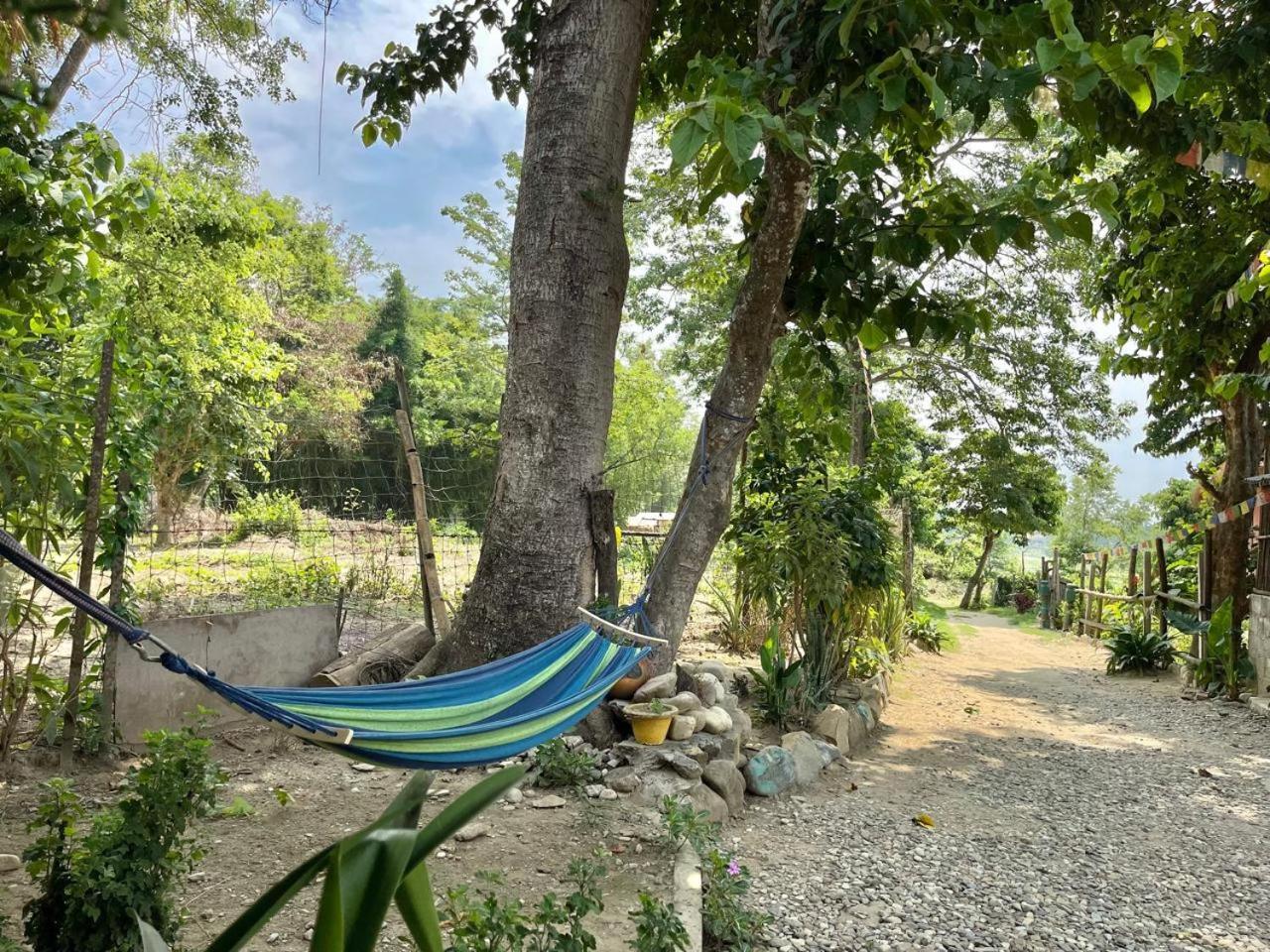 Bamby Chilling House - Feel The Nature Sauraha Ngoại thất bức ảnh
