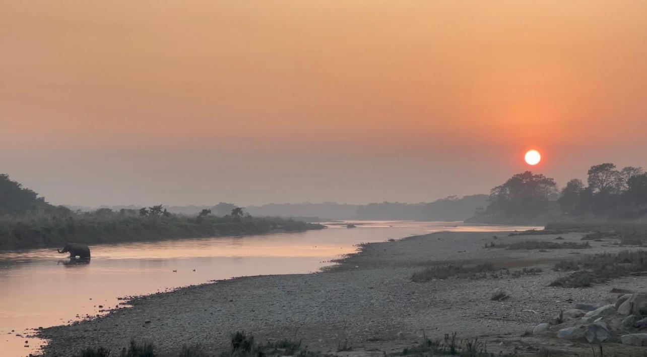 Bamby Chilling House - Feel The Nature Sauraha Ngoại thất bức ảnh