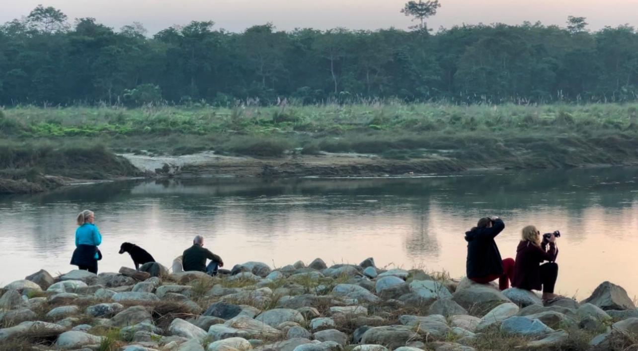 Bamby Chilling House - Feel The Nature Sauraha Ngoại thất bức ảnh