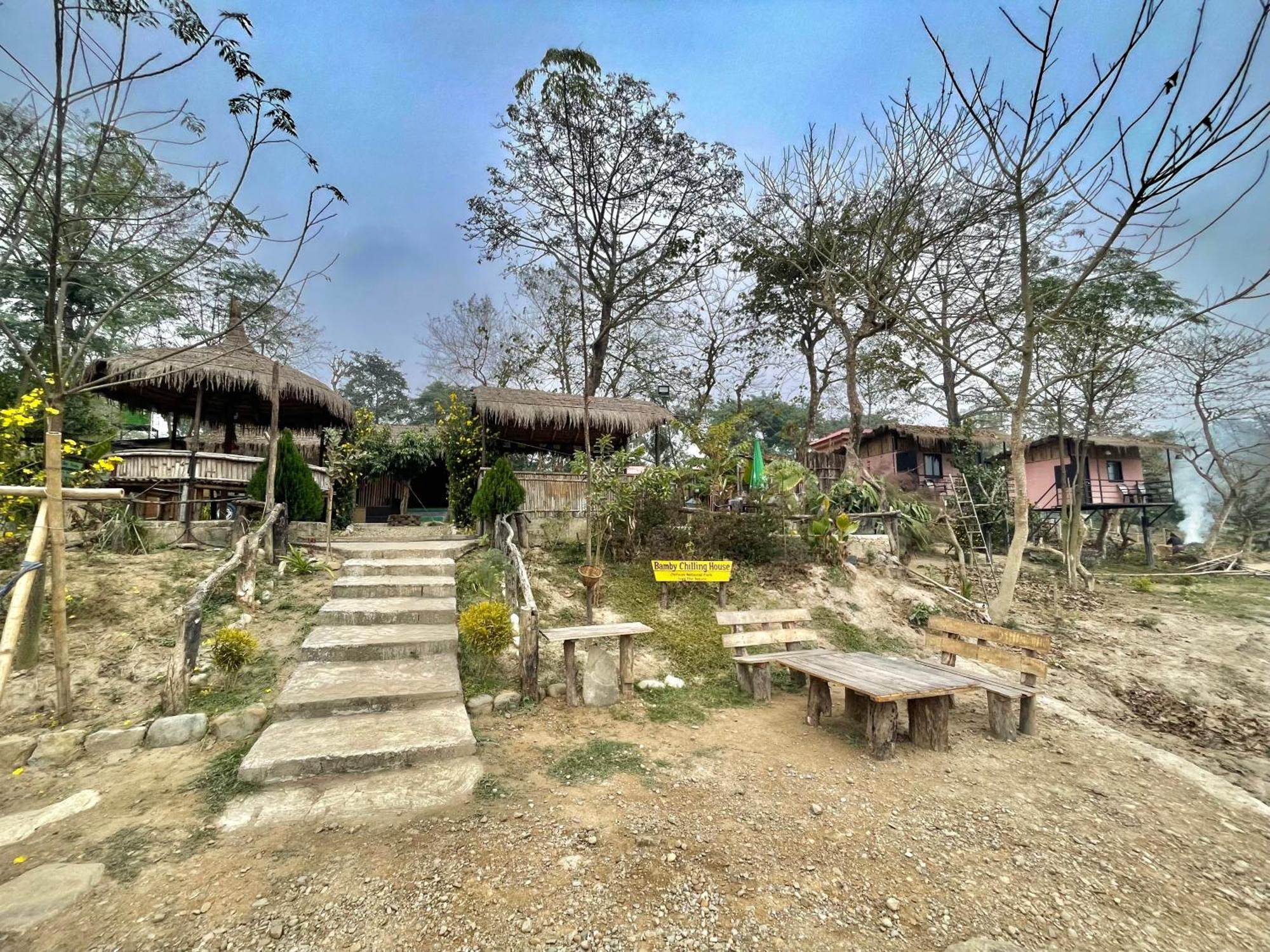 Bamby Chilling House - Feel The Nature Sauraha Ngoại thất bức ảnh