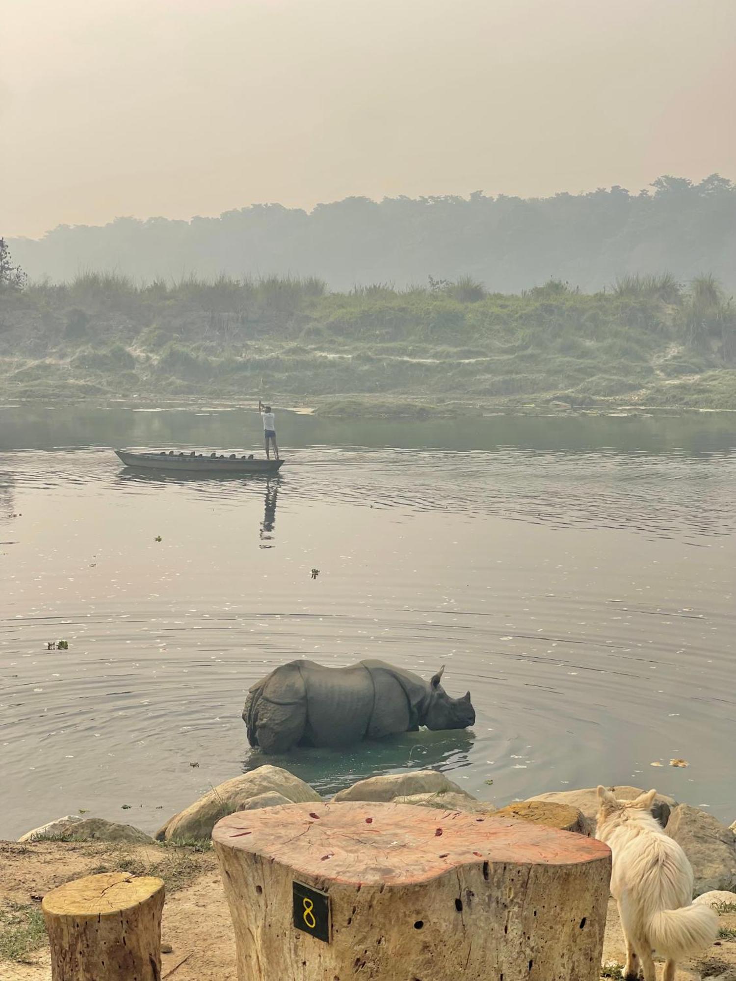 Bamby Chilling House - Feel The Nature Sauraha Ngoại thất bức ảnh
