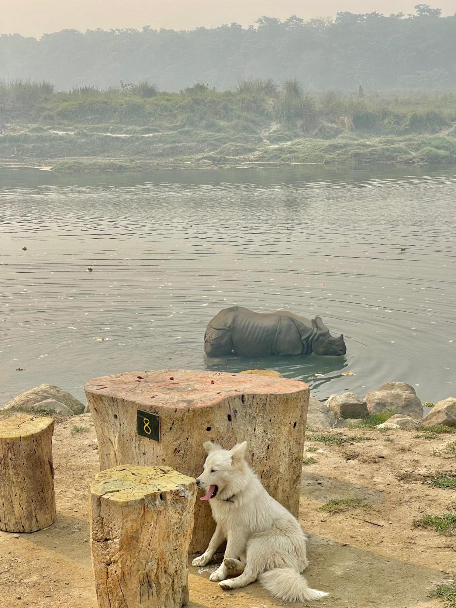 Bamby Chilling House - Feel The Nature Sauraha Ngoại thất bức ảnh